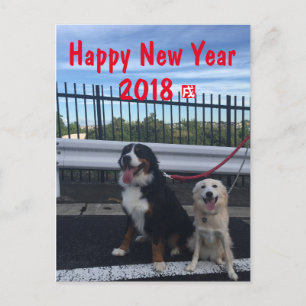 テ・・・・バ・・・・・・・・・・ HOLIDAY POSTCARD