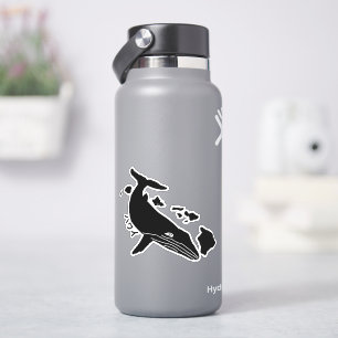 ハワイ諸島ザトウクジラ