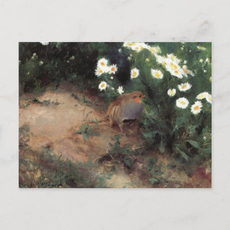 ヒナギクとヤマウズラ POSTCARD