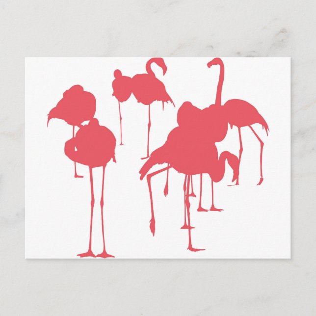 フラミンゴ POSTCARD (Front)
