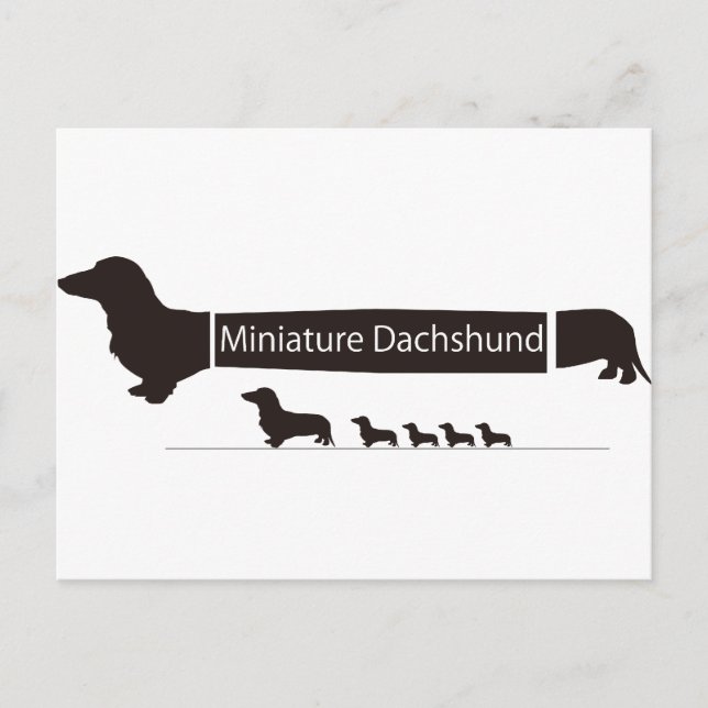 ミニチュアダックスフンドのおもしろグッズ POSTCARD (Front)