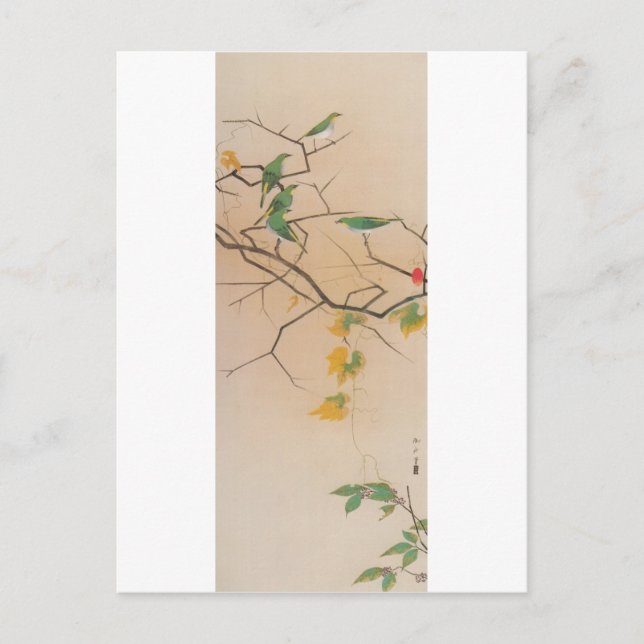 メジロ, 速水御舟, Japanese White-Eye, Gyoshū, Japan Art Postcard (Front)