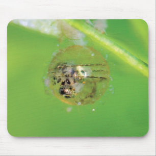 メダカの発眼卵のマウスパッド MOUSE PAD