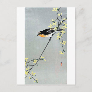 レンギョウに小鳥, 古邨 Bird on Forsythia, Ohara Koson Postcard