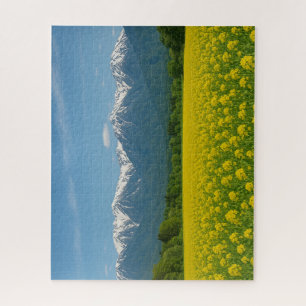 信州・菜の花畑と残雪の北アルプス/Shinshu Rapeseed Fields and Snowy Jigsaw Puzzle