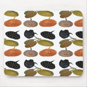 南米産淡水エイのマウスパッド,No.05 Mouse Pad