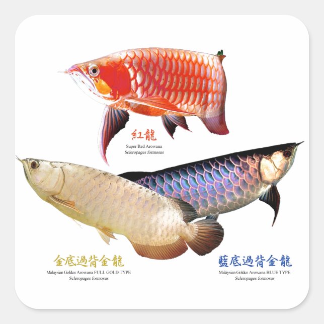 商 を カ ス 品 タ マ・・・・・・ SQUARE STICKER (Front)