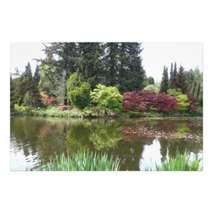 夏季美丽的植物园景观, beautiful botanical garden photo print