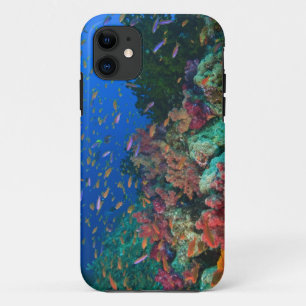 妖精のBasslets (Pseudanthiasの教育 iPhone 11 Case