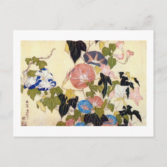 朝顔, 北斎 Morning Glory, Hokusai, Ukiyo-e Postcard (Front)
