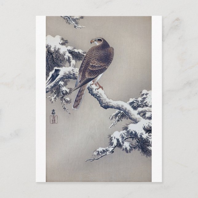 松に鷹, 古邨 Hawk on Pine tree, Ohara Koson, Woodcut Postcard (Front)
