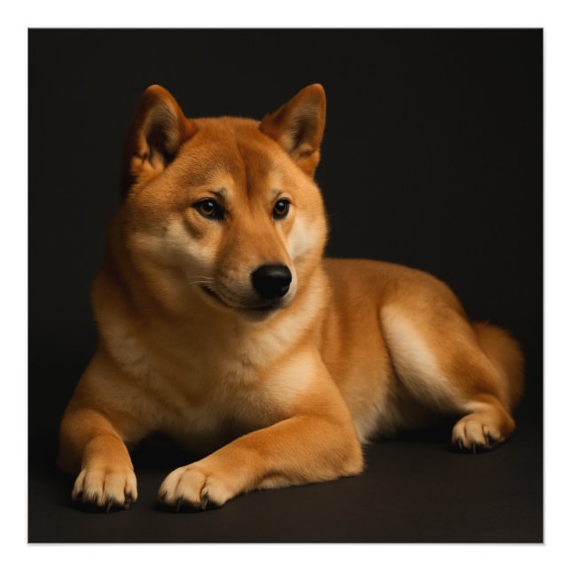 柴犬ポートレート Shiba Inu Art Photo Print (Front)