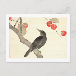 柿に烏, 抱一 Persimmon and Crow, Hōitsu Postcard