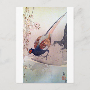 桜にキジ, 古邨 Pheasant and Cherry blossoms, Ohara Koson Postcard