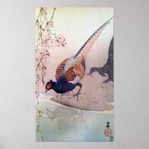 桜にキジ, 古邨 Pheasant and Cherry blossoms, Ohara Koson Poster