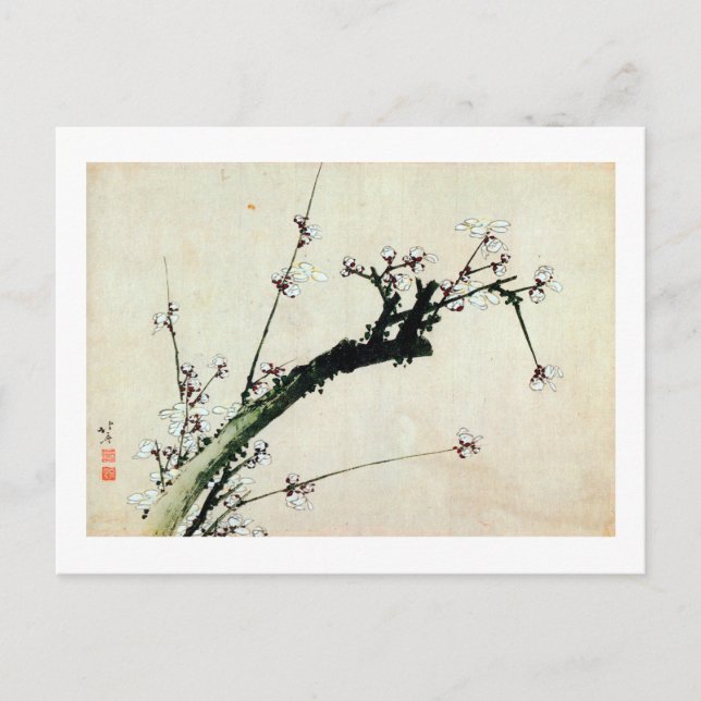 梅花, 北斎 Plum Blossoms, Hokusai, Ukiyo-e Postcard (Front)