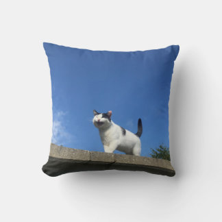 歌う猫 クッション CUSHION