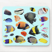 熱帯の海水魚のマウスパッド,No.02