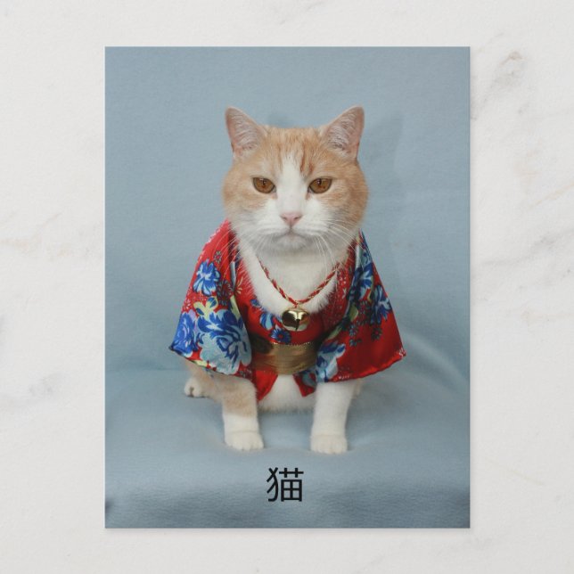 猫 POSTCARD (Front)