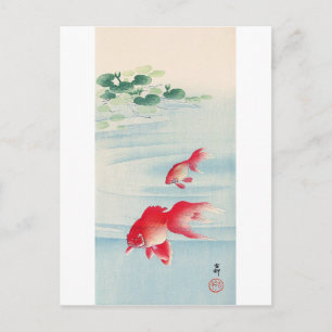 睡蓮と金魚, 古邨 Water lily and Goldfish, Ohara Koson Postcard