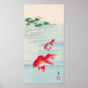 睡蓮と金魚, 古邨 Water lily and Goldfish, Ohara Koson Poster