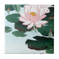 睡蓮, 古邨 Water Lily, Koson, Ukiyo-e