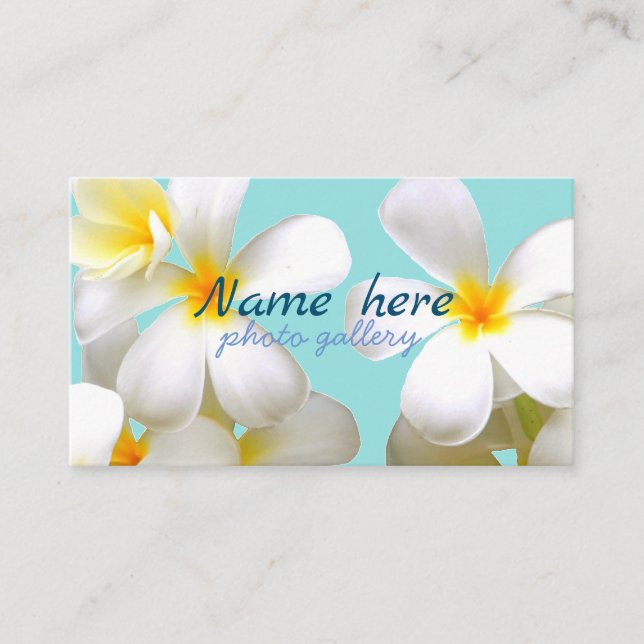 米スタンダード 8.89cm x 5.08cm名刺 名刺 business card (Front)