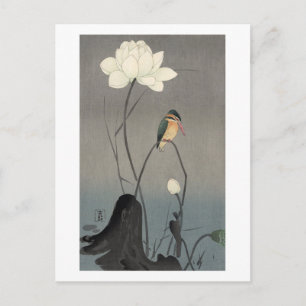 蓮にカワセミ, 古邨 Kingfisher on Lotus, Ko Postcard