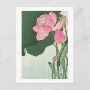 蓮の花, 小原古邨 Lotus flower, Ohara Koson, Ukiyo-e Postcard