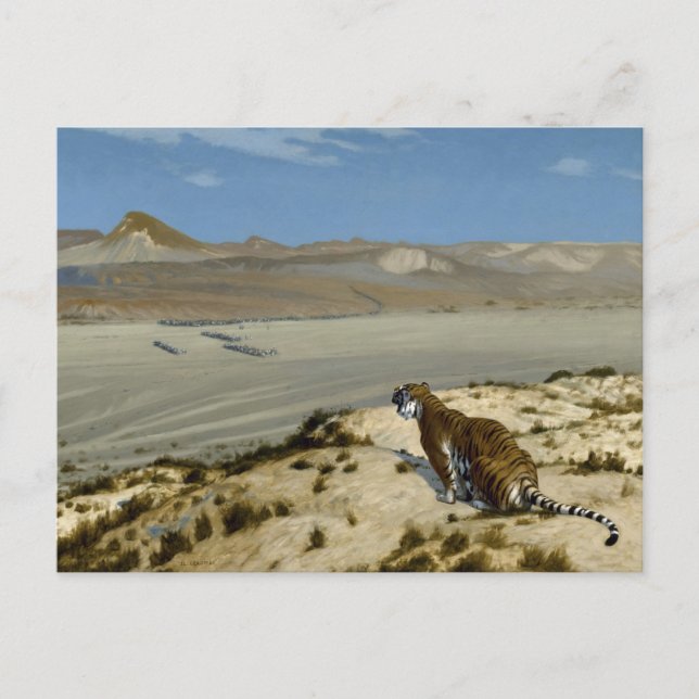 虎 POSTCARD (Front)