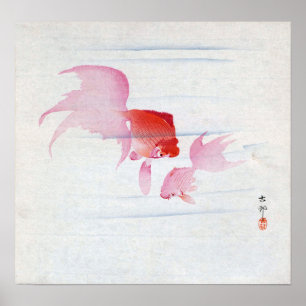 金魚, 古邨 Pair of Goldfish, Koson, Ukiyo-e, Woodcut Poster