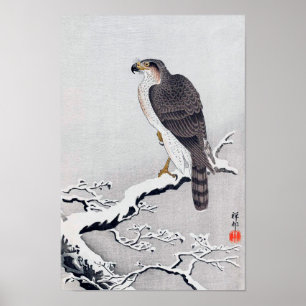 雪に鷹, 古邨 Hawk on Snow covered branch, Oha Poster