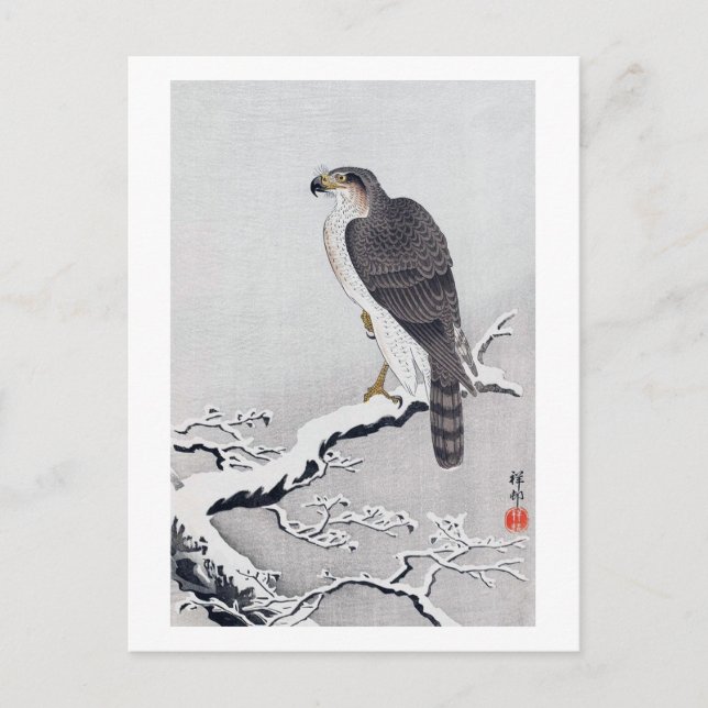 雪に鷹, 古邨 Hawk on Snow covered branch, Ohara Koson Postcard (Front)