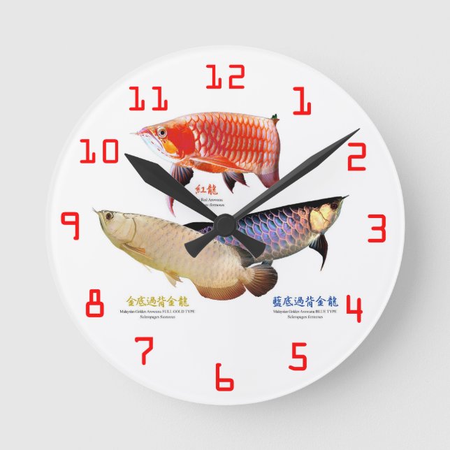 ３種類のアジアアロワナの壁掛け時計 ROUND CLOCK (Front)