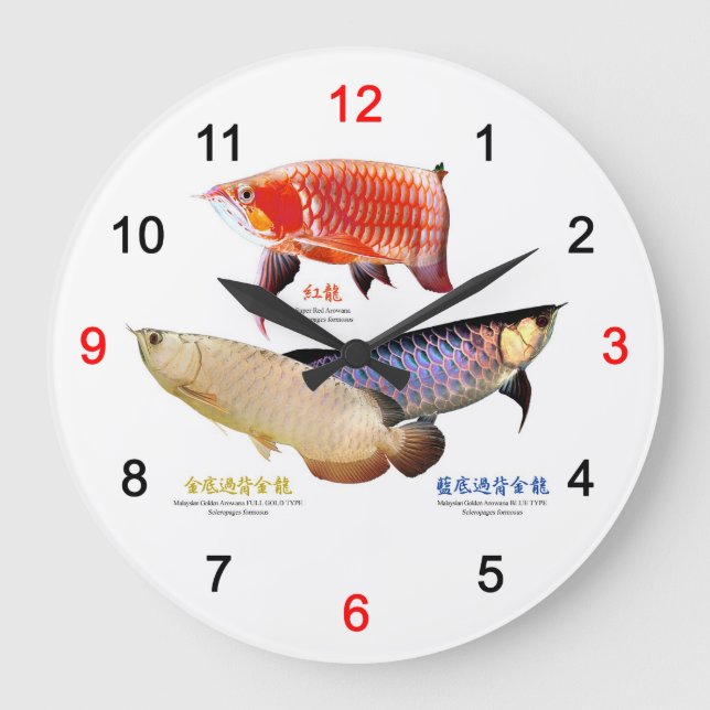 ３種類のAsian Arowana Large Clock (Front)