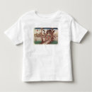 Search for ando clothing 19th