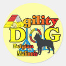 Search for belgian malinois stickers Cute