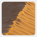 Search for erg stickers Grand erg oriental desert