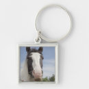 Search for clydesdale key rings Animal
