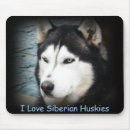 Search for siberian mousepads Photography