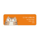 Search for orange tabby cat return address labels Kitten