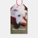 Search for dog christmas gift tags Doggy