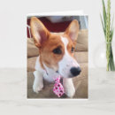 Search for corgi valentines day cards Funny