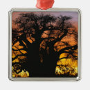 Search for tanzania christmas tree decorations African baobab tree
