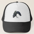Search for crow hats Animal