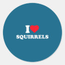 Search for squirrel lovers stickers Squirrels