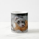 Search for mustelid mugs Ferret