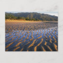 Search for abel tasman postcards Environment