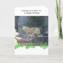 Search for lion cards Roaring