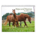 Search for colt calendars Horse
